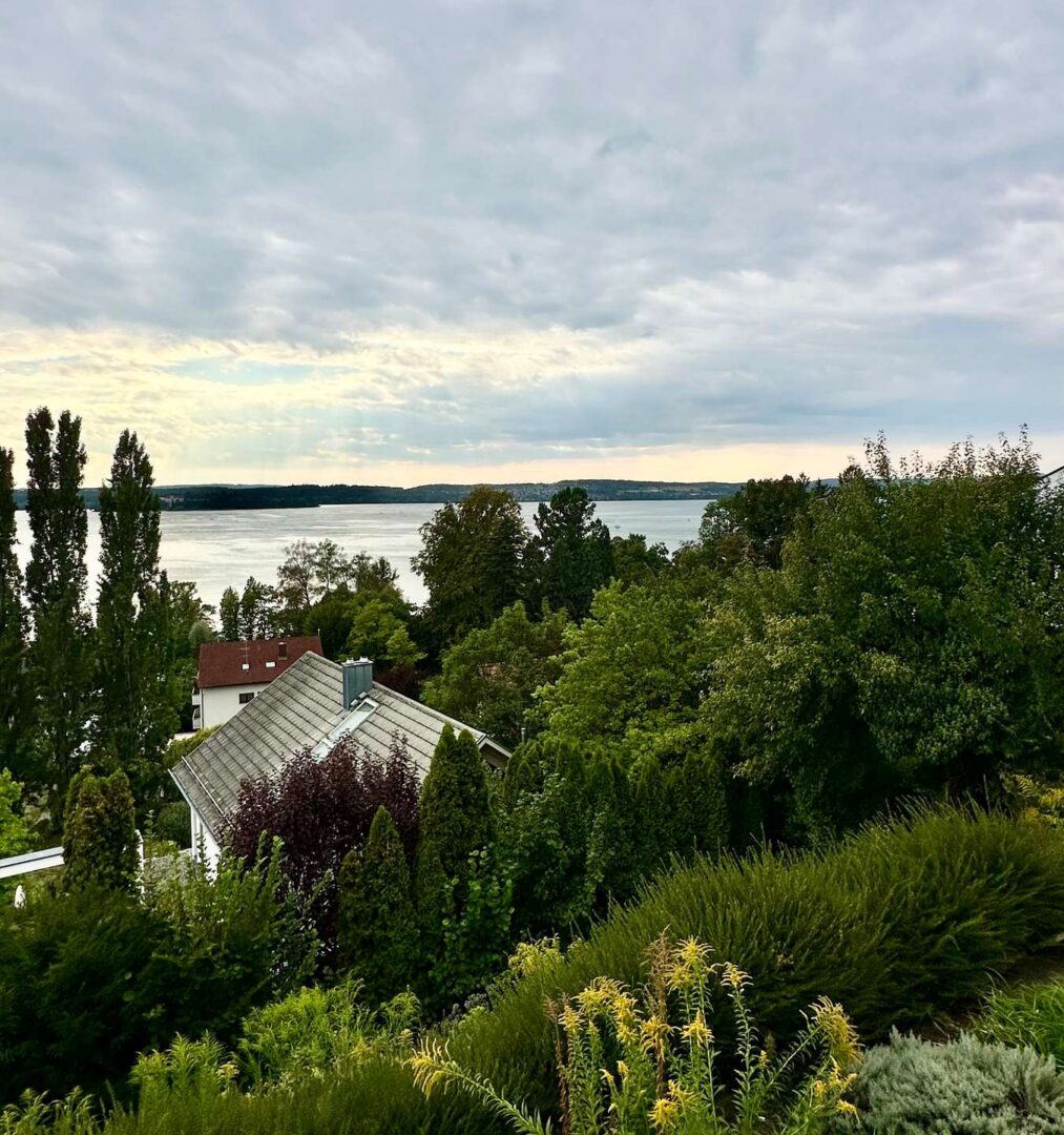 Ausblick
