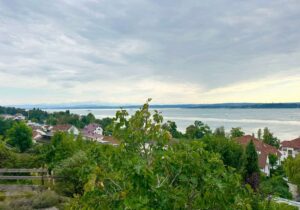 Ausblick
