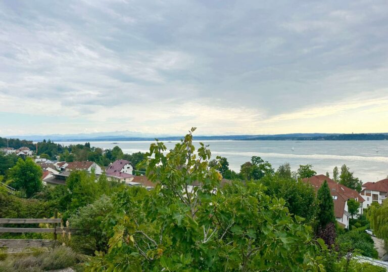 Ausblick